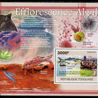 Togo 2011 Environment - Algal Blooms - Fish perf s/sheet unmounted mint