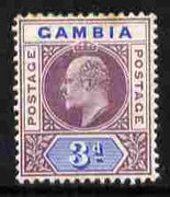 Gambia 1902-05 KE7 Crown CA 3d purple & ultramarine mounted mint, SG 49