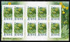 Aland Islands 1999 Provincial Plants perf sheetlet containing 10 x self-adhesive values unmounted mint as SG 152