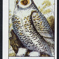 Eynhallow 1982 Snowy Owl imperf souvenir sheet (£1 value) unmounted mint