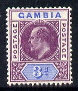 Gambia 1904-06 KE7 MCA 3d purple & ultramarine mounted mint SG 61