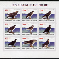 Ivory Coast 2009 Birds of Prey imperf sheetlet containing 9 values unmounted mint