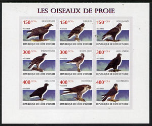 Ivory Coast 2009 Birds of Prey imperf sheetlet containing 9 values unmounted mint