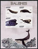 Congo 2014 Whales imperf sheetlet containing 4 values unmounted mint