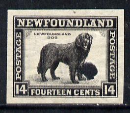 Newfoundland 1941-44 KG6 Newfoundland Dog 14c black imperf PROOF with Waterlow security punch hole, some wrinkles but a scarce KG6 item (as SG 284)