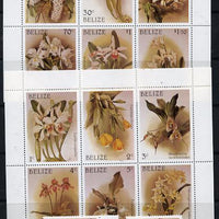 Belize 1987 Christmas - Orchids (Sanders' Reichenbachia) perf set of 14 unmounted mint SG 1009-22