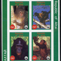 Altaj Republic 1996 WWF imperf sheetlet containing complete set of 4 Monkeys unmounted mint