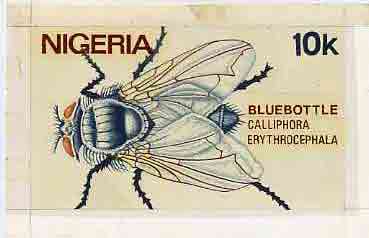 Nigeria 1986 Insects - original hand-painted artwork for 10k value (Bluebottle) by NSP&MCo Staff Artist Samuel Eluare on card 8.5