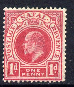 Natal 1904-08 KE7 MCA Postage-Revenue 1d deep carmine mounted mint SG 148