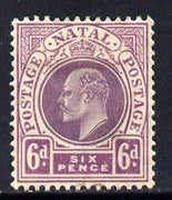 Natal 1908-09 KE7 MCA Postage-Postage 6d dull & bright purple mounted mint SG 165