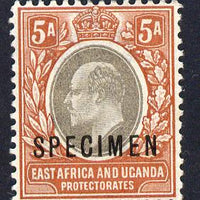 Kenya, Uganda & Tanganyika 1903-04 KE7 Crown CA 5a overprinted SPECIMEN fine with gum only about 730 produced SG 7s