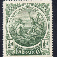 Barbados 1916-19 Large Britannia MCA 1/2d green mounted mint SG 182a