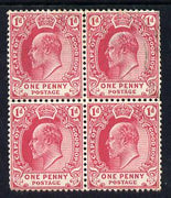 Cape Of Good Hope 1902-04 KE7 1d carmine block of 4 two stamps unmounted mint SG 71