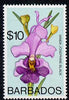 Barbados 1975-79 Josephine Black Orchid $10 with double outline due to slight colour shift unmounted mint, SG 524var