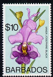 Barbados 1975-79 Josephine Black Orchid $10 with double outline due to slight colour shift unmounted mint, SG 524var