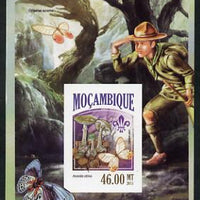 Mozambique 2013 Scouting & Butterflies #5 imperf deluxe sheet unmounted mint. Note this item is privately produced and is offered purely on its thematic appeal