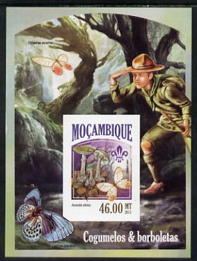 Mozambique 2013 Scouting & Butterflies #5 imperf deluxe sheet unmounted mint. Note this item is privately produced and is offered purely on its thematic appeal