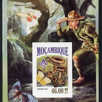 Mozambique 2013 Scouting & Butterflies #6 imperf deluxe sheet unmounted mint. Note this item is privately produced and is offered purely on its thematic appeal