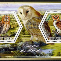 Chad 2014 Owls #1 perf sheetlet containing two hexagonal-shaped values unmounted mint