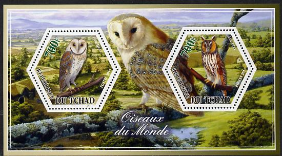 Chad 2014 Owls #3 perf sheetlet containing two hexagonal-shaped values unmounted mint