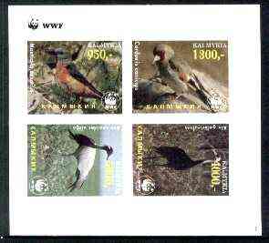 Kalmikia Republic 1997 WWF - Birds imperf sheetlet containing complete set of 4 unmounted mint