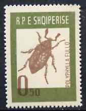 Albania 1963 Polyphylla fullo 0L50 from Insects set unmounted mint, Mi 735