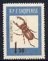 Albania 1963 Lucanus cervus 1L50 from Insects set unmounted mint, Mi 736