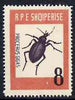 Albania 1963 Procerus gigas 8L from Insects set unmounted mint, Mi 737