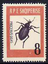 Albania 1963 Procerus gigas 8L from Insects set unmounted mint, Mi 737