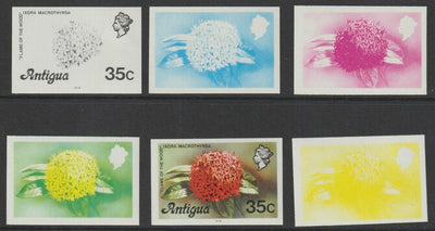 Antigua 1976 Flames of the Wood 35c (with imprint) set of 6 imperf progressive colour proofs comprising the 4 basic colours, blue & yellow composite plus all 4 colours (as SG 480B) unmounted mint