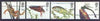 Great Britain 2001 Europa & Pond Life perf set of 4 unmounted mint SG 2220-23