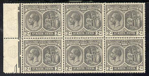 St Kitts-Nevis 1921-29 KG5 Script CA Medicinal Spring 2d slate-grey marginal block of 6, unmounted mint SG 41