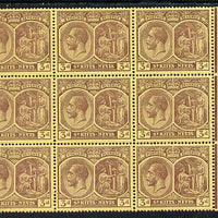 St Kitts-Nevis 1921-29 KG5 Script CA Medicinal Spring 3d purple on yellow marginal block of 9 unmounted mint SG 45a