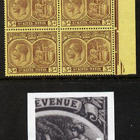 St Kitts-Nevis 1921-29 KG5 Script CA Medicinal Spring 3d purple on yellow marginal block of 4 one stamp with Broken line of shading at right (R5-5), unmounted mint SG 45a