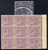 St Kitts-Nevis 1921-29 KG5 Script CA Medicinal Spring 1d violet marginal block of 9 one stamp with Damaged Right Vignette at top (R7-5), unmounted mint SG 39