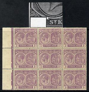 St Kitts-Nevis 1921-29 KG5 Script CA Medicinal Spring 1d violet marginal block of 9 one stamp with Nick in Country tablet at left (R1-1), unmounted mint few split perfs SG 39