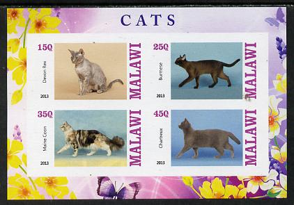 Malawi 2013 Domestic Cats #1 imperf sheetlet containing 4 values unmounted mint