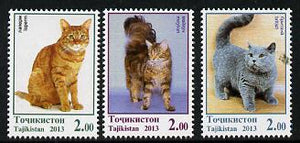 Tadjikistan 2013 Domestic Cats perf set of 3 values unmounted mint