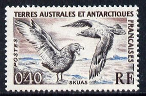 French Southern & Antarctic Territories 1956-60 Great Skuas 40c unmounted mint SG 3