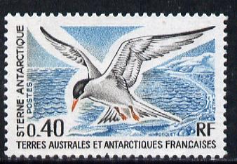 French Southern & Antarctic Territories 1976 Swallow-Tailed Tern 40c unmounted mint SG 98