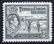 Turks & Caicos Islands 1938 KG6 Raking Salt 2d grey unmounted mint, SG 198*