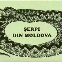 Booklet - Moldova 1993 WWF Protected Animals (Snakes) 104r booklet complete and pristine (contains 2 complete sets)