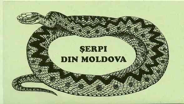 Booklet - Moldova 1993 WWF Protected Animals (Snakes) 104r booklet complete and pristine (contains 2 complete sets)