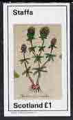 Staffa 1982 Plants #01 (Thyme) imperf,souvenir sheet (£1 value) unmounted mint