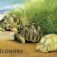 Togo 1996 Turtles unmounted mint m/sheet (1000f) Mi BL 401