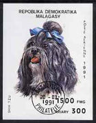 Malagasy Republic 1991 Dogs imperf m/sheet (Shihtzu) cto used, SG MS 861, Mi BL 157