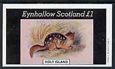 Eynhallow 1982 Rodents imperf souvenir sheet (£1 value) unmounted mint