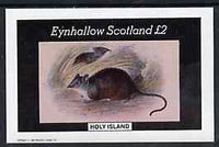 Eynhallow 1982 Rodents imperf deluxe sheet (£2 value) unmounted mint