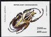 Madagascar 1993 Beetles unmounted mint m/sheet, Mi BL 254