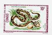 Congo 1971 Egg Eating Snake 10f imperf deluxe sheet on sunken card in full issued colours, as SG 284